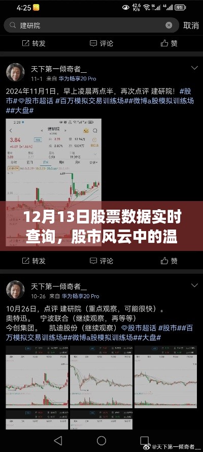 股市风云中的温情日常，揭秘12月13日股票数据之旅