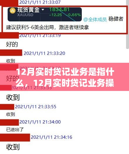 12月实时贷记业务详解及操作指南，适合初学者与进阶用户