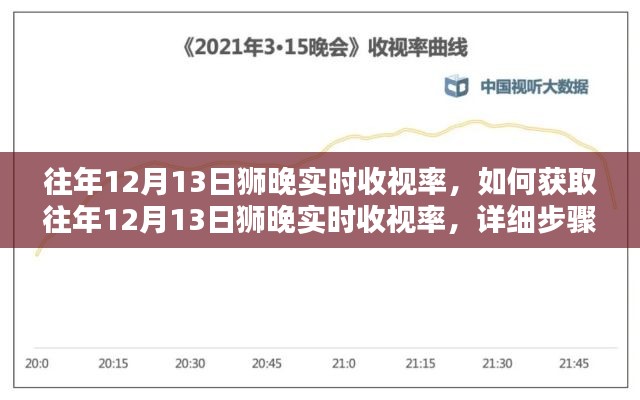 往年12月13日狮晚实时收视率解析，获取步骤指南