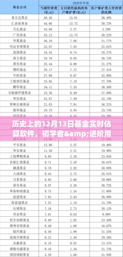 历史上的12月13日基金实时估算软件详解，初学者与进阶用户的使用指南