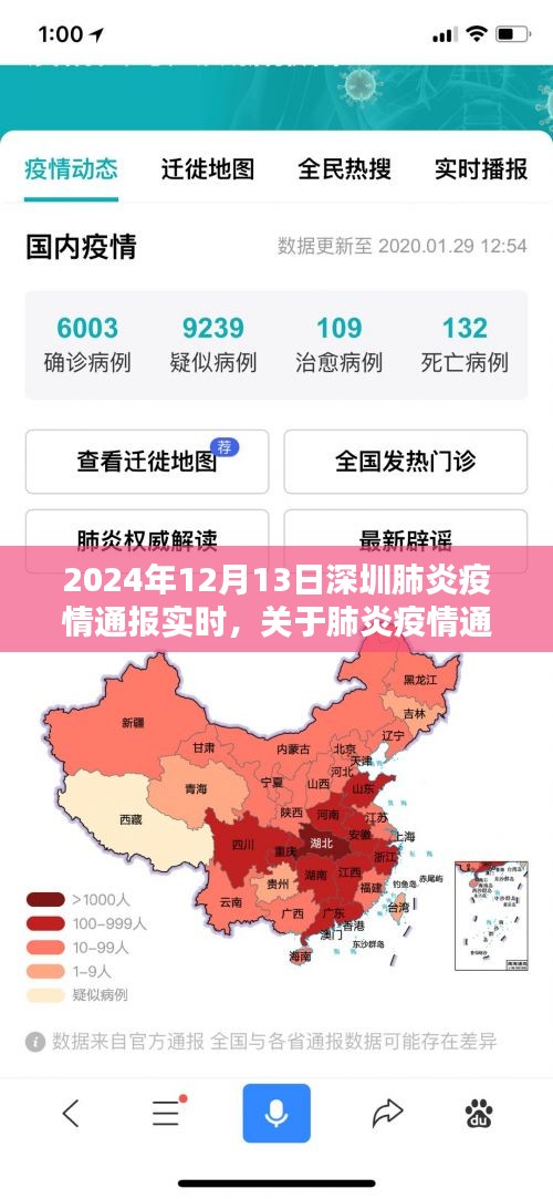 关于肺炎疫情通报实时查询，深圳地区2024年12月13日详细步骤指南