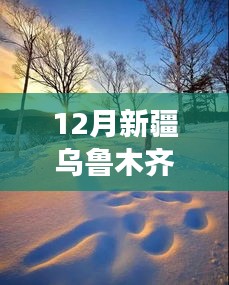乌鲁木齐冬季温情日常，雪中暖心故事与实时热点聚焦
