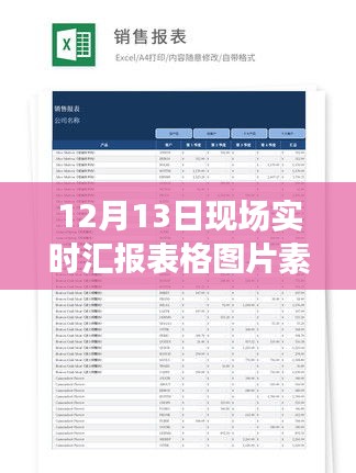 最新动态揭秘，12月13日现场实时汇报表格图片素材震撼发布