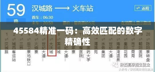 45584精准一码：高效匹配的数字精确性