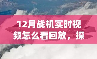 探索自然美景与内心宁静，战机实时视频回放指南