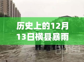 历史上的12月13日横县暴雨事件，今日新闻回顾与实时直播解读