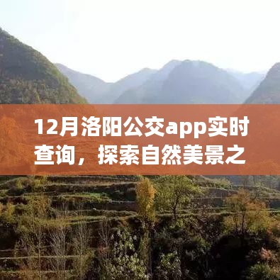洛阳公交app指引下的十二月探索之旅，实时查询与自然美景的宁静圣地