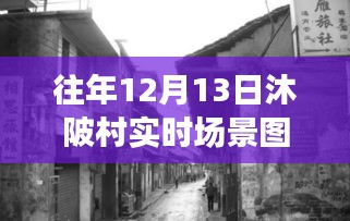 沐陂村探秘，历年12月13日高清现场直击神秘美食秘境