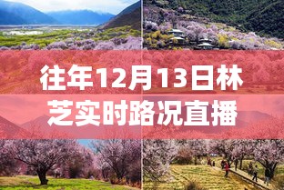 往年12月13日林芝实时路况直播视频回顾，深度解读其价值与影响