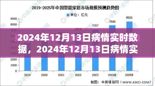 2024年12月13日疫情实时数据深度解析，全方位透视疫情现状
