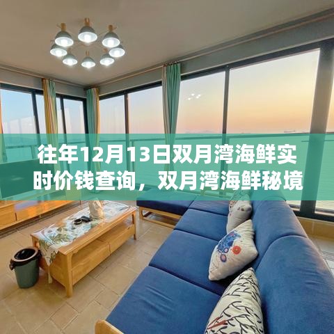 双月湾海鲜历年价格揭秘，探寻小巷宝藏，历年十二月十三日海鲜实时价格查询与秘境探索！