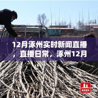 涿州12月暖阳下的温情时光，实时新闻直播日常