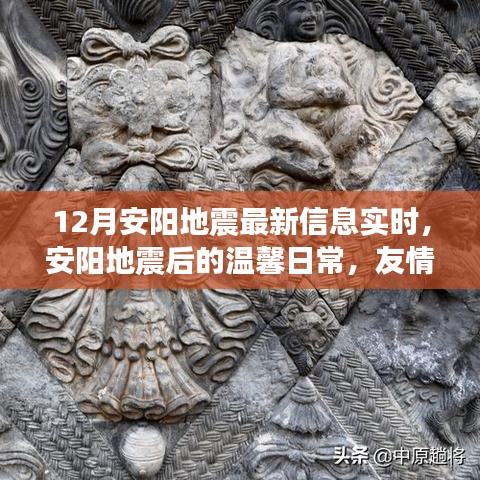安阳地震最新动态，温情脉脉的日常与友情的力量
