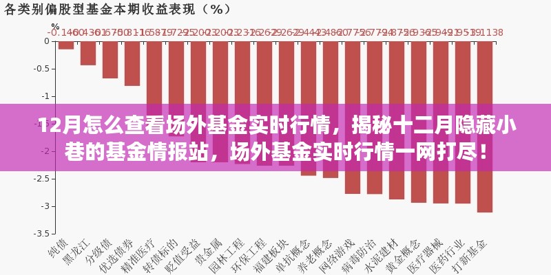 揭秘十二月隐藏小巷的基金情报站，场外基金实时行情全掌握！