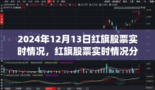 红旗股票实时情况解析，2024年12月13日的深度分析