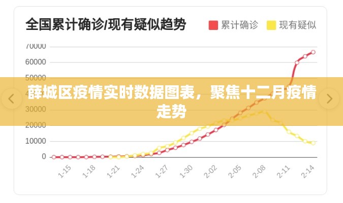 薛城区疫情实时数据图表聚焦，十二月疫情动态分析