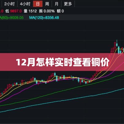 铜价实时查看指南，如何掌握十二月市场动态？