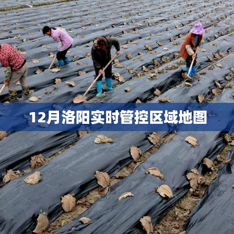 洛阳12月实时管控区域地图查询