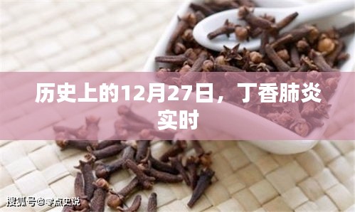历史上的大事件与丁香肺炎实时动态
