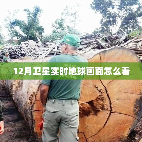 卫星实时地球画面观看指南