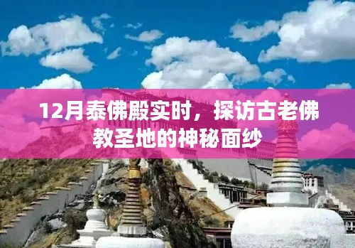 探访泰佛殿，揭开古老佛教圣地的神秘面纱