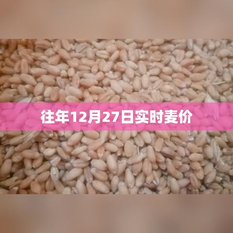往年12月27日麦价实时行情分析