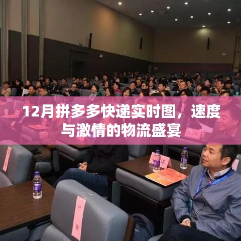 拼多多快递实时追踪，速度与激情的物流盛宴 12月速递速递风采展示