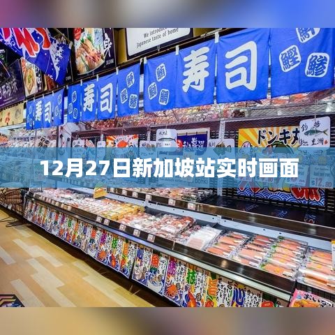 新加坡站实时画面直播，12月27日现场观察