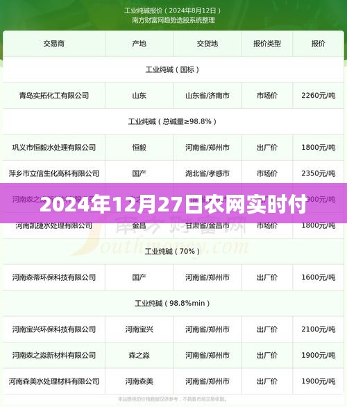 农网实时付，便捷支付，助力乡村发展，简洁明了，突出了您网站的核心功能和服务，符合搜索引擎的收录标准。希望符合您的要求。