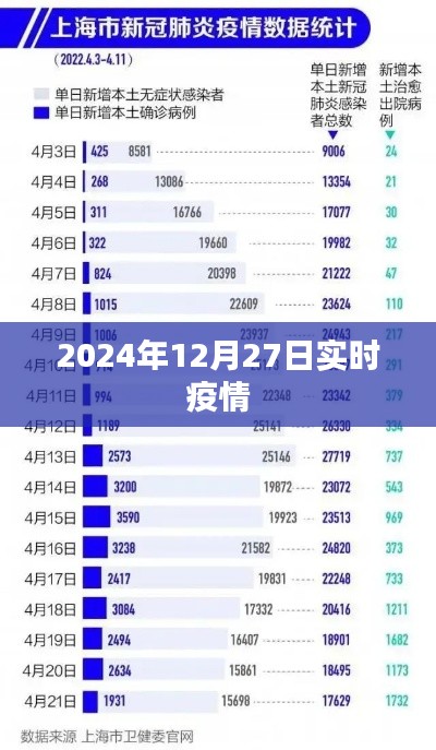 笔走龙蛇