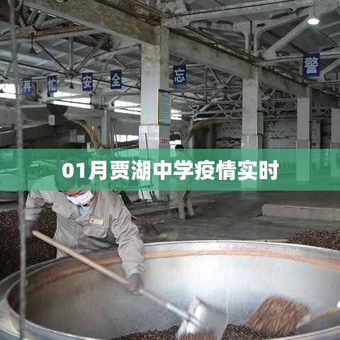 贾湖中学疫情最新实时动态