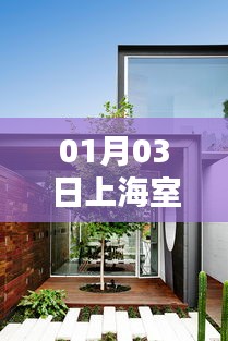 朴素无华 第3页