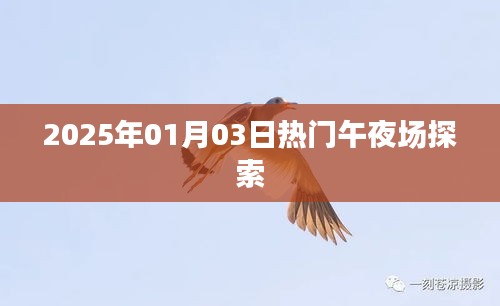 午夜狂欢盛宴，揭秘2025年热门午夜场派对文化