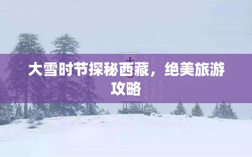 大雪时节探秘西藏，绝美旅游攻略