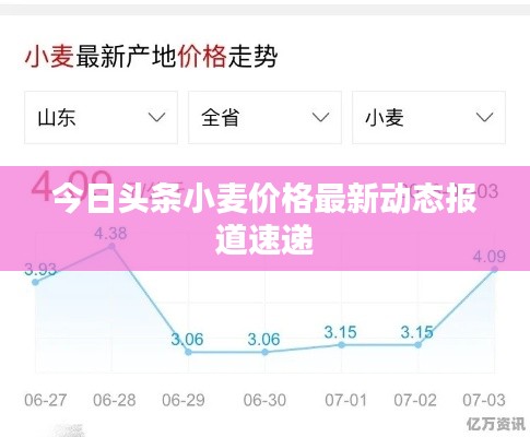 今日头条小麦价格最新动态报道速递