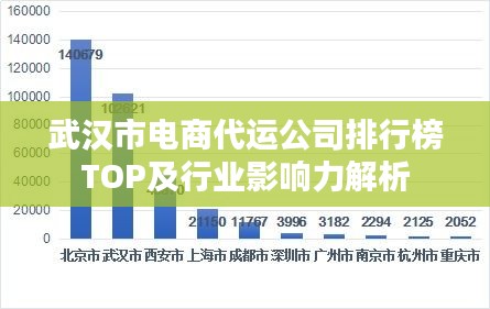 武汉市电商代运公司排行榜TOP及行业影响力解析