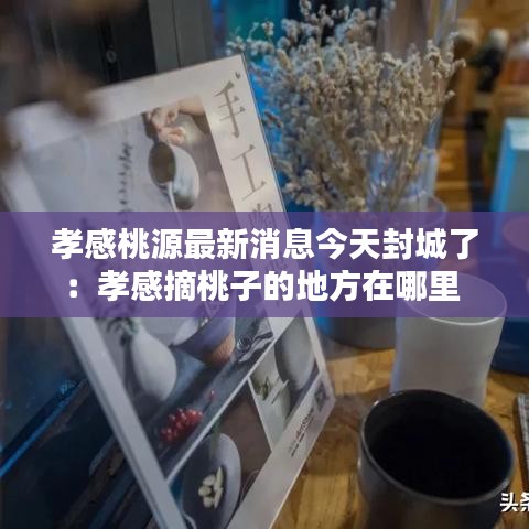 孝感桃源最新消息今天封城了：孝感摘桃子的地方在哪里 