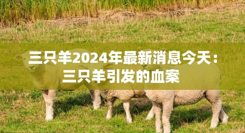 三只羊2024年最新消息今天：三只羊引发的血案 