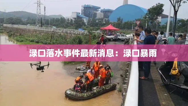 渌口落水事件最新消息：渌口暴雨 