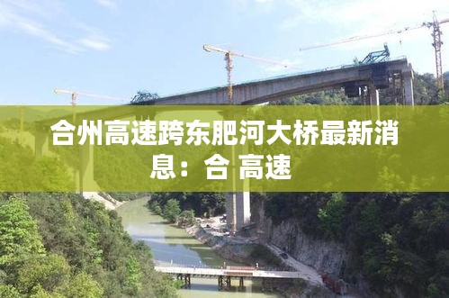 合州高速跨东肥河大桥最新消息：合 高速 