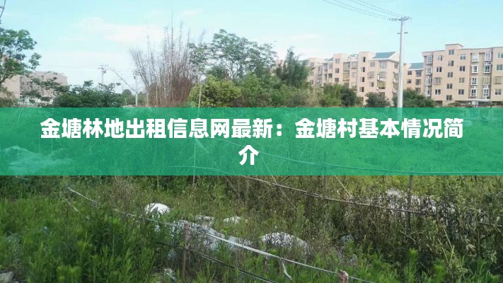 金塘林地出租信息网最新：金塘村基本情况简介 