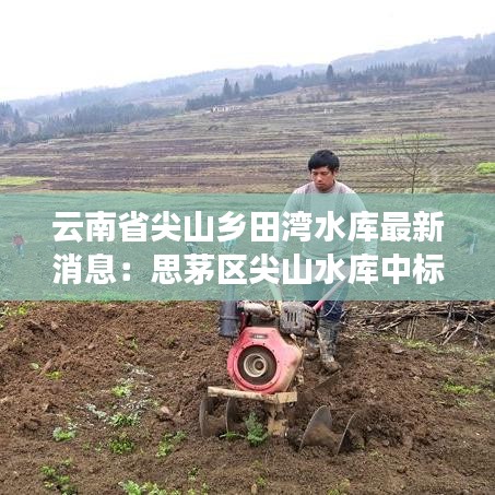 云南省尖山乡田湾水库最新消息：思茅区尖山水库中标单位 