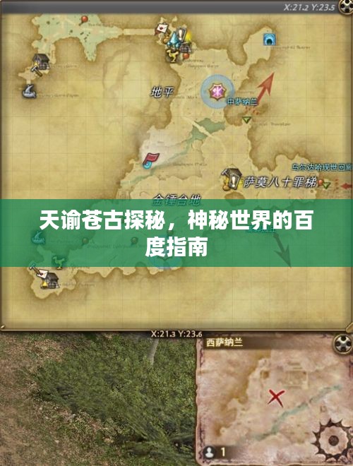 天谕苍古探秘，神秘世界的百度指南