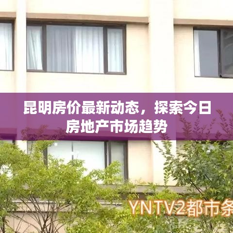 昆明房价最新动态，探索今日房地产市场趋势