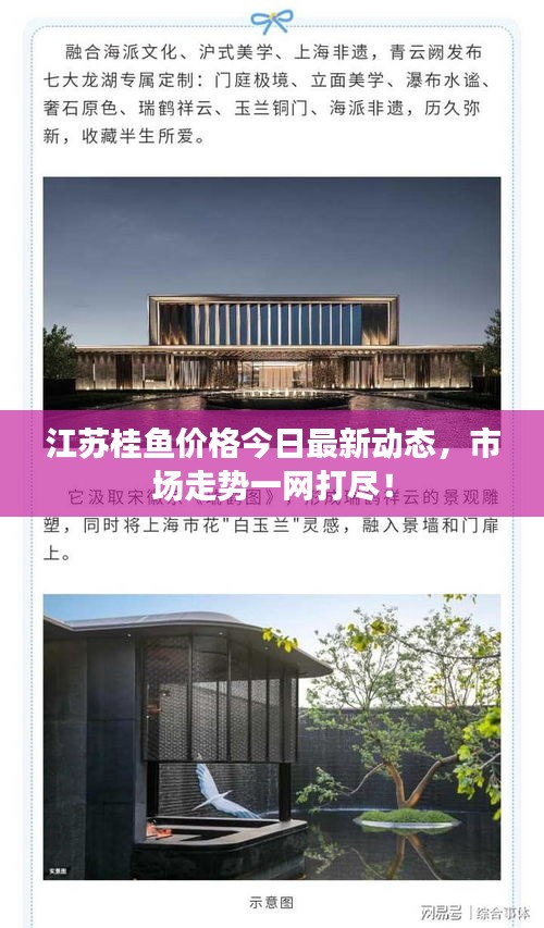 江苏桂鱼价格今日最新动态，市场走势一网打尽！