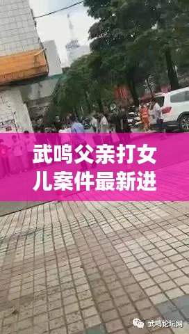 武鸣父亲打女儿案件最新进展：武鸣枪杀 