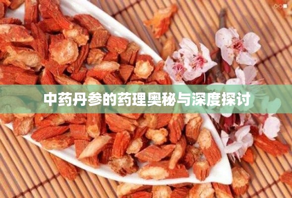 中药丹参的药理奥秘与深度探讨