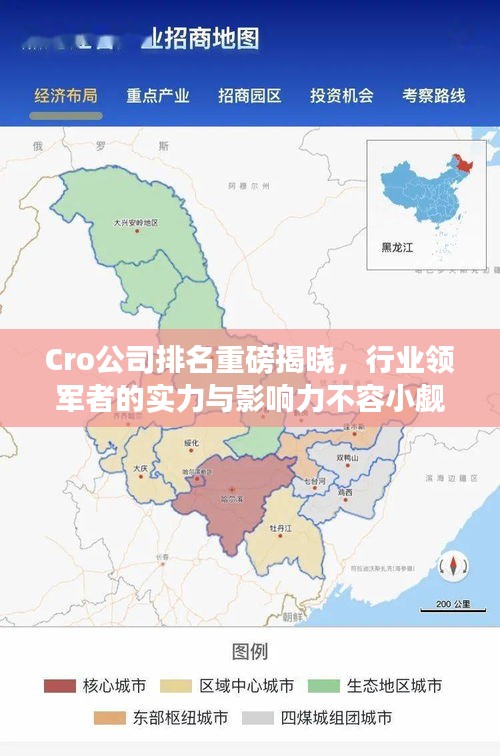 Cro公司排名重磅揭晓，行业领军者的实力与影响力不容小觑 2021版