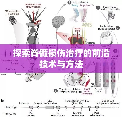 探索脊髓损伤治疗的前沿技术与方法