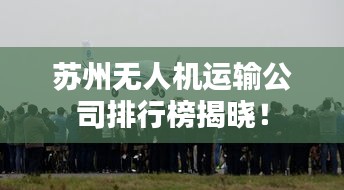 苏州无人机运输公司排行榜揭晓！